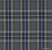 Picture of Plaid 42 Polyester 2-Pleat Skirt