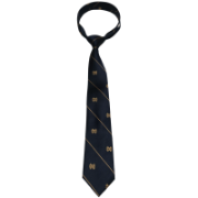 Picture of Poly MD Woven Neck Tie