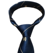 Picture of Poly MD Woven Neck Tie