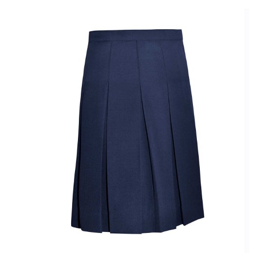 Picture of Navy Box Pleats Reg Skirt