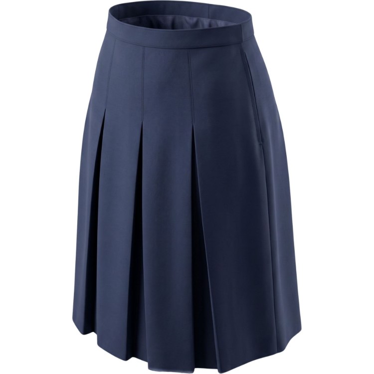 Picture of Navy Box Pleats Skirt